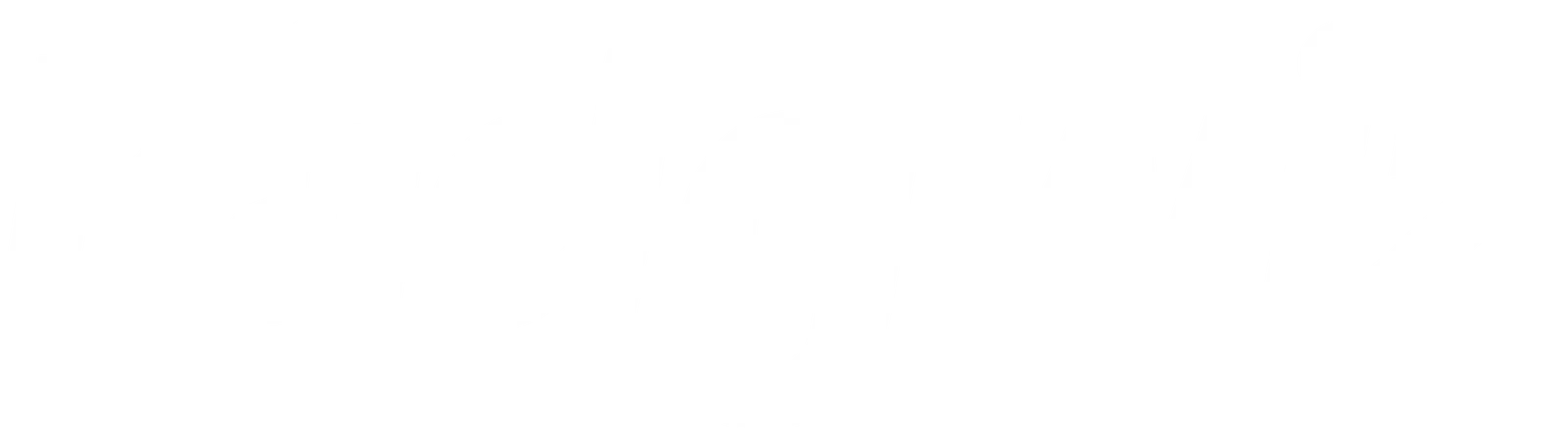 Budgwiz